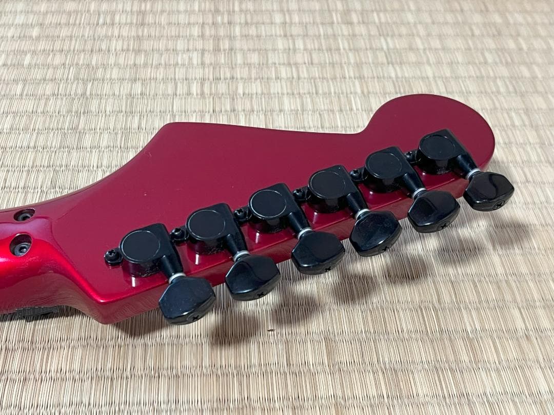 FERNANDES FST-65 電装系なし スケルトン