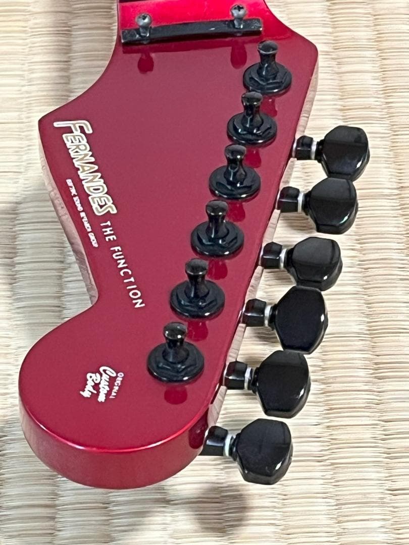 FERNANDES FST-65 電装系なし スケルトン