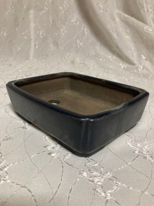 祝峯　盆栽鉢131