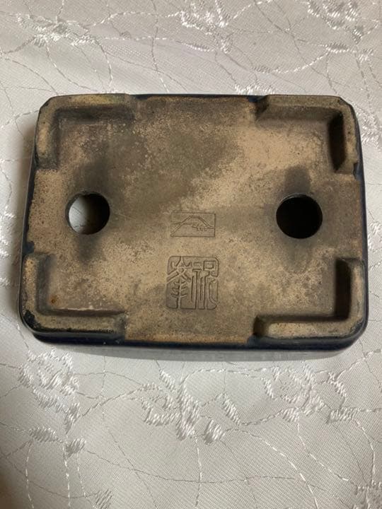 祝峯　盆栽鉢131