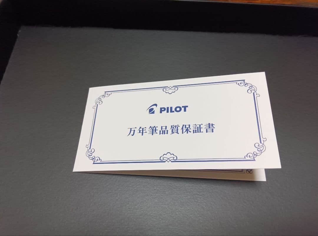 PILOT 木目調 万年筆 Bペン先 ケース付