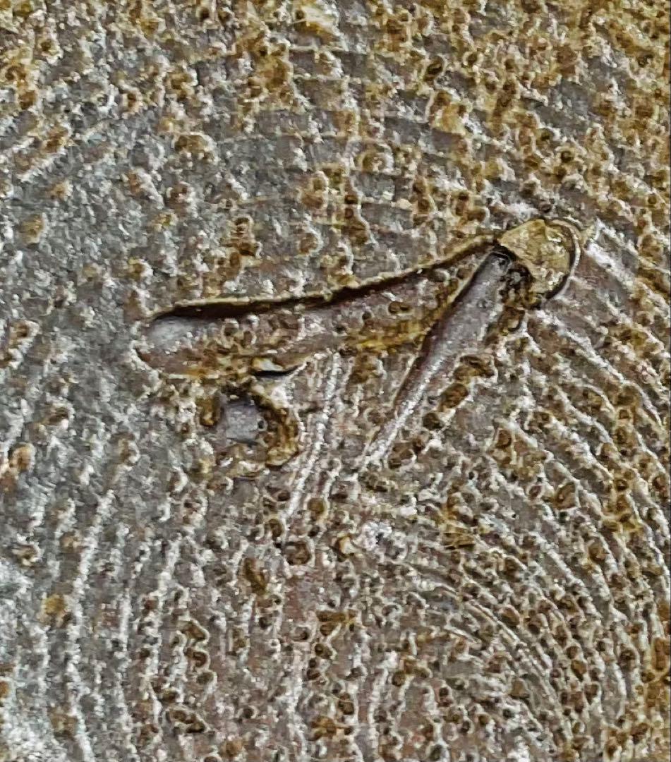 67】◉人間国宝・藤原雄先生 藤原啓先生の長男 備前焼徳利 共箱