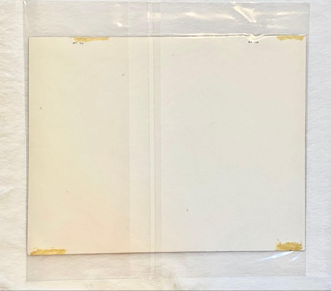 美少女戦士セーラームーン　(敵組織•ビリユイ) セル画　(当時物)