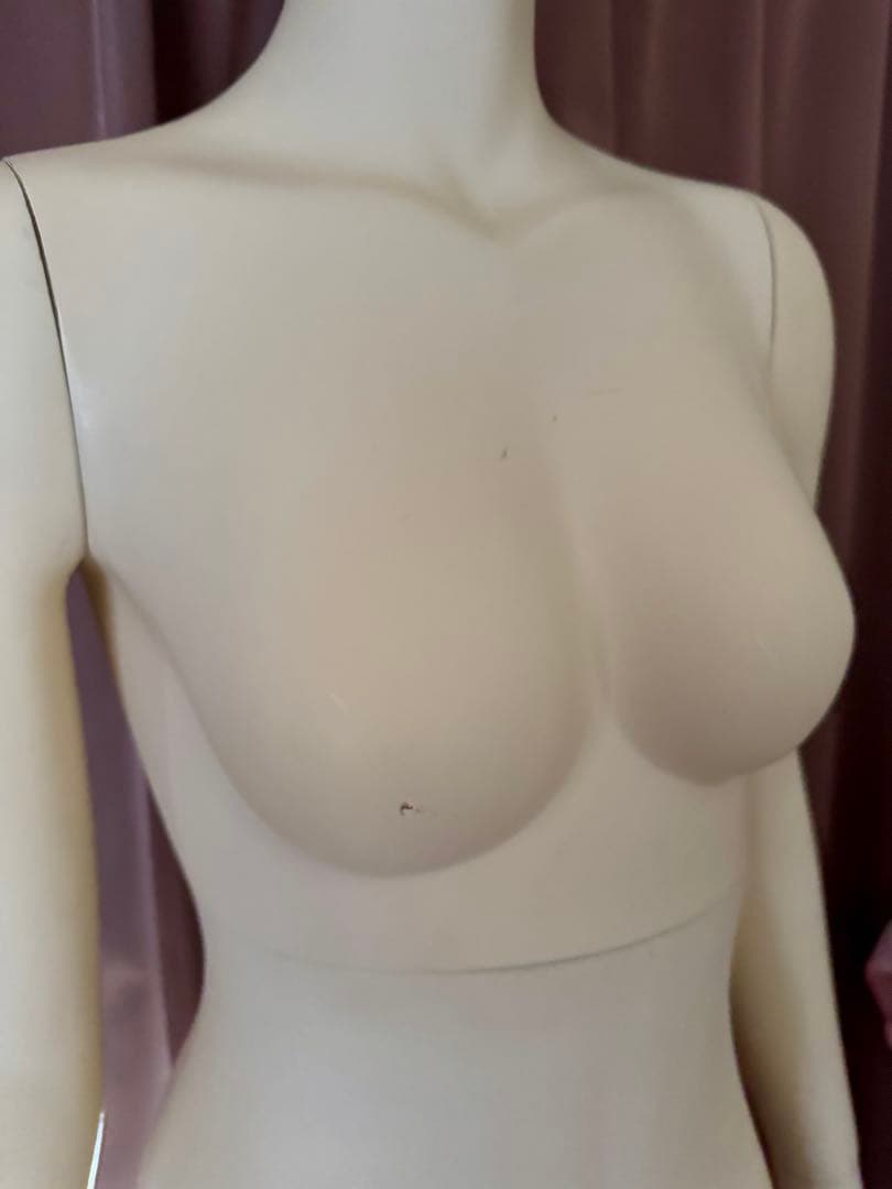 イオンモール名取まで取りに来れる方！全身タイプの女性形トルソー