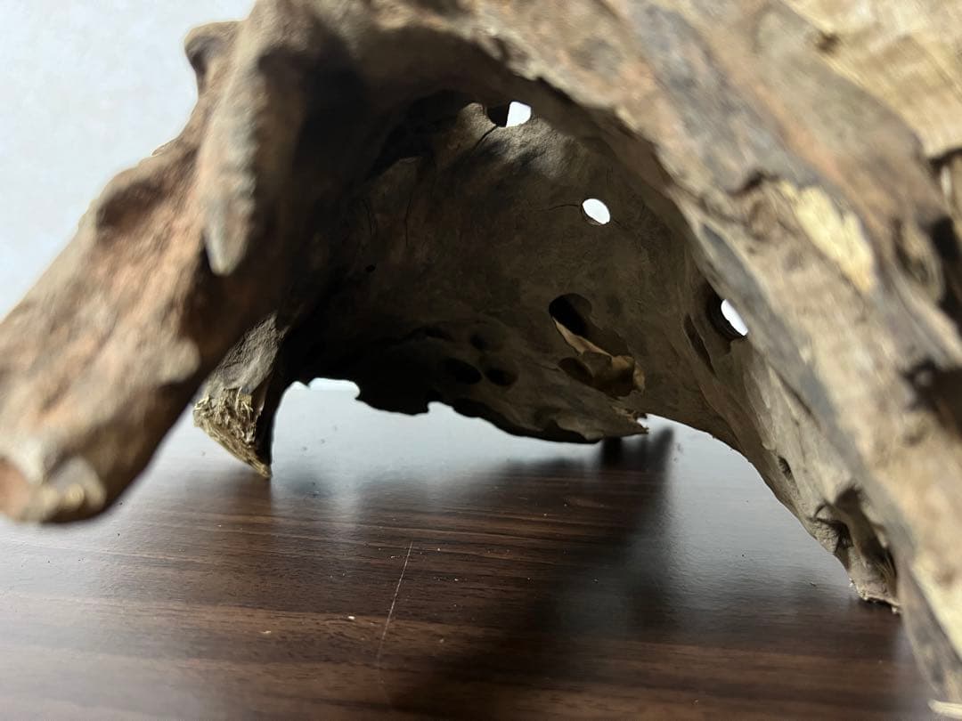 XM-198 流木 マシンガンウッド アクアリウム ブランチウッド 沈水確認済