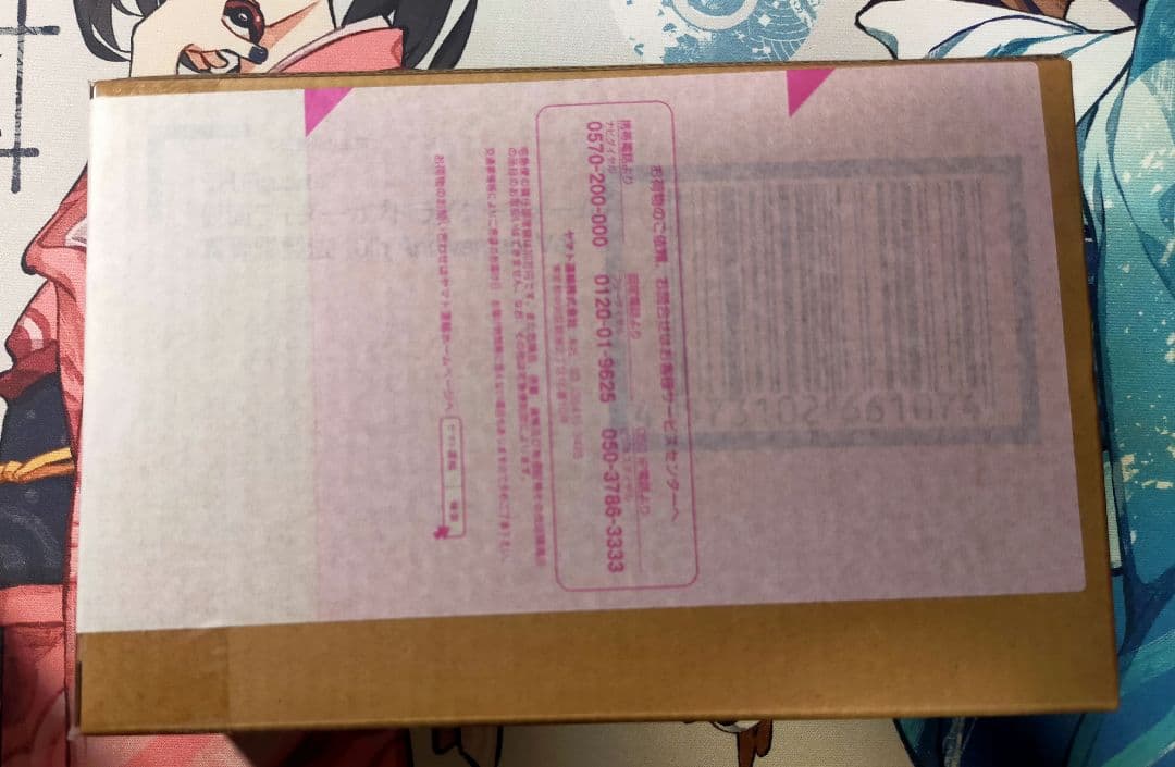 S.H.Figuarts 真骨彫製法 仮面ライダーカブト 10th Ver.