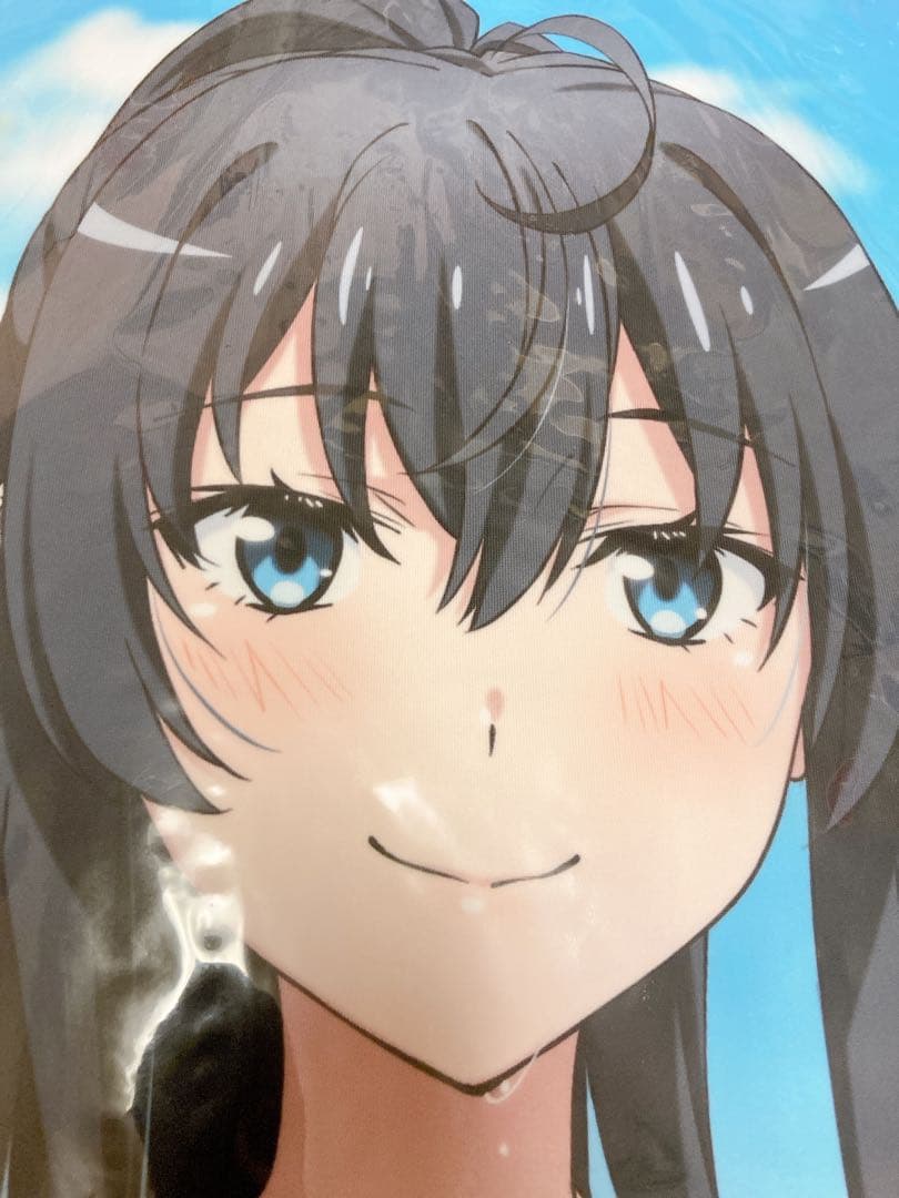 未開封　正規品　雪ノ下雪乃　やはり俺の青春ラブコメ　俺ガイル