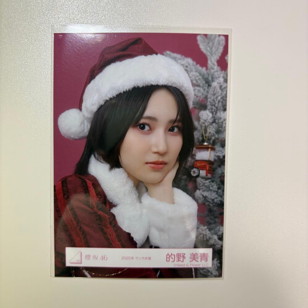 櫻坂46 的野美青 2025 サンタ衣装 生写真 - メルカリ
