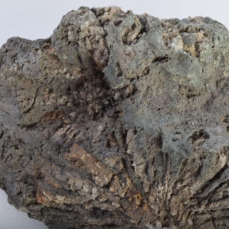 天然石 鑑賞石 菊花石 置物 重さ約1929g C 8881