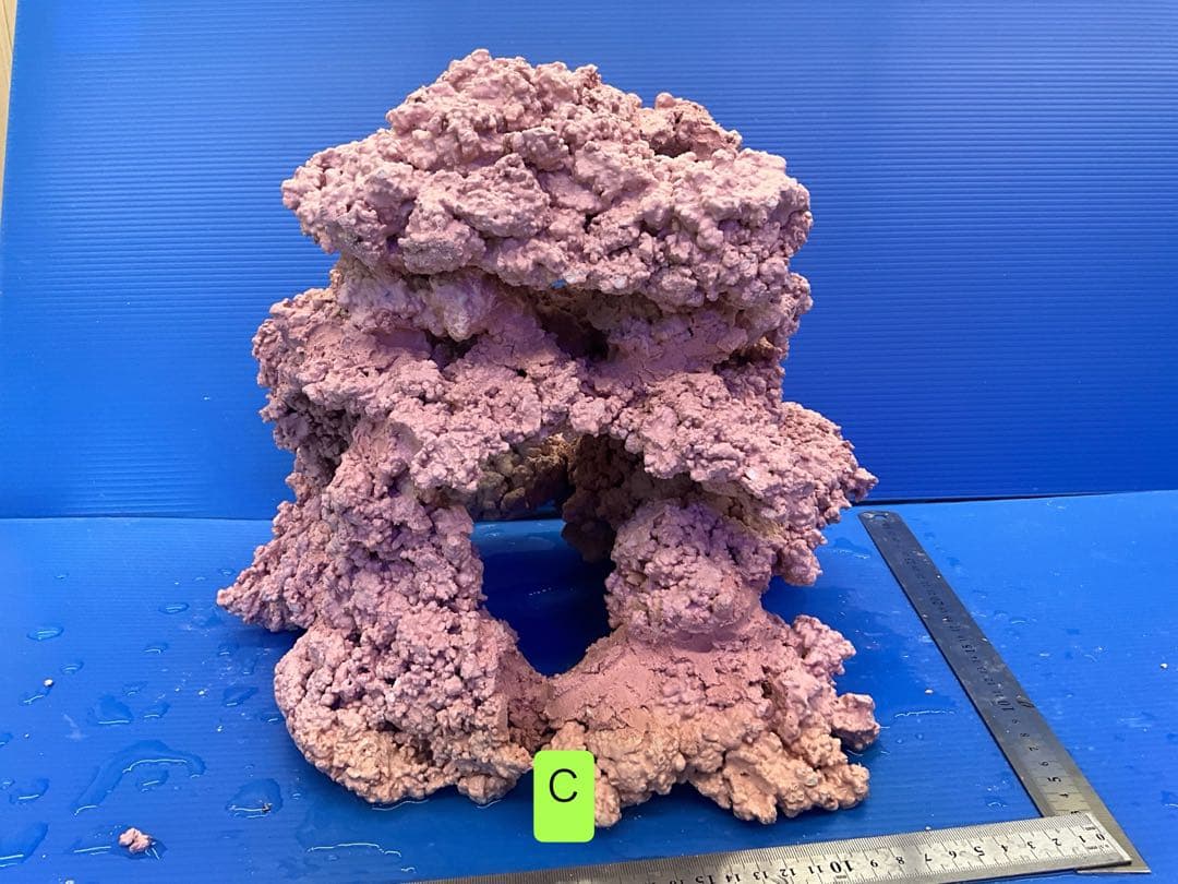 人工ライブロック　No.15 アク抜き済