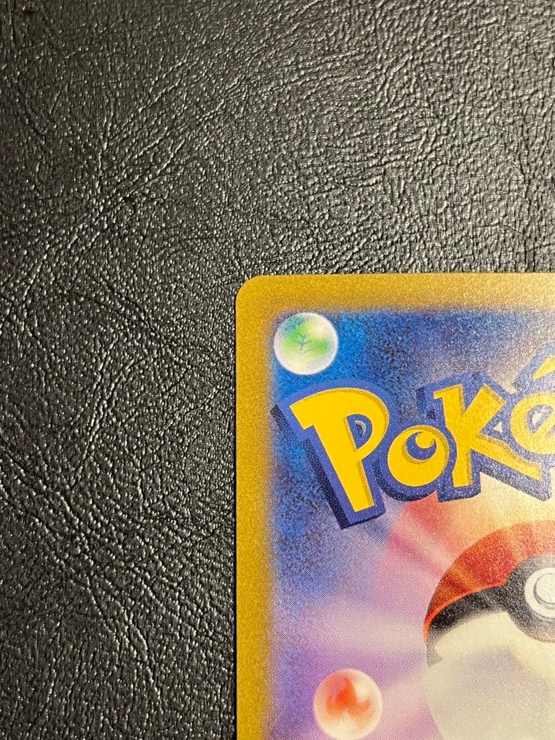 エリカの招待　SAR