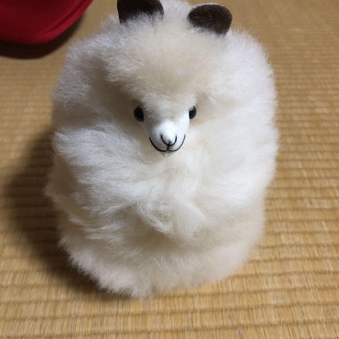 アルパカ　ぬいぐるみ elvang｜アルパカ テディ 50*50 | KONCENT Web shop｜アッシュ