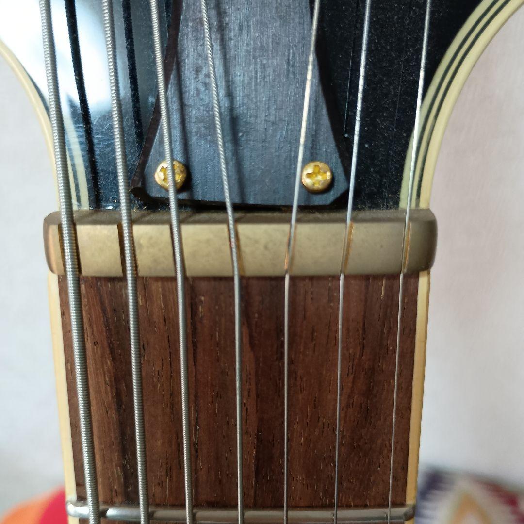 7弦ギター Ibanez ARZ307 ゴールドパーツ 改造多数