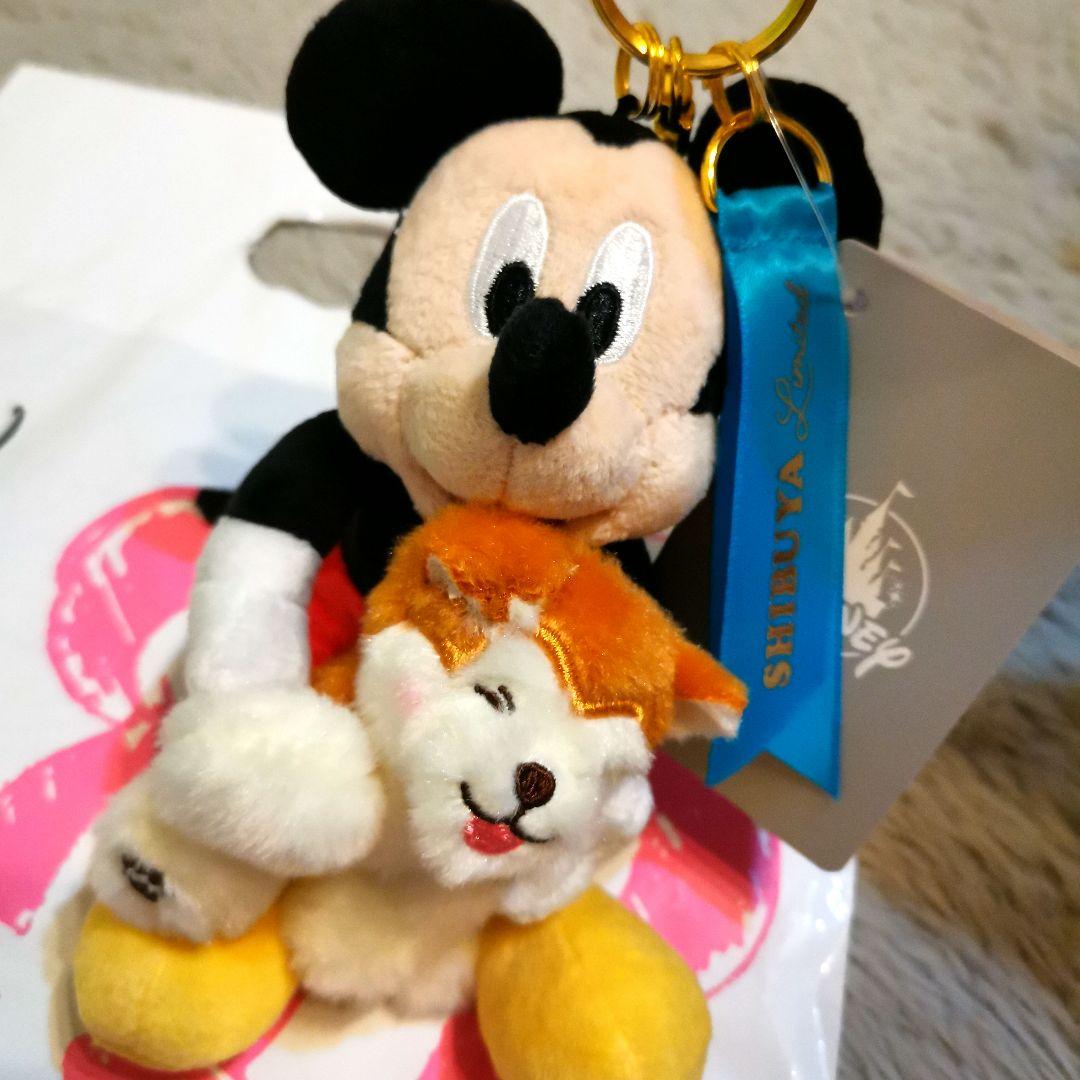 渋谷公園通り限定 ミッキー ミニー ぬいぐるみ キーチェーン DISNEY