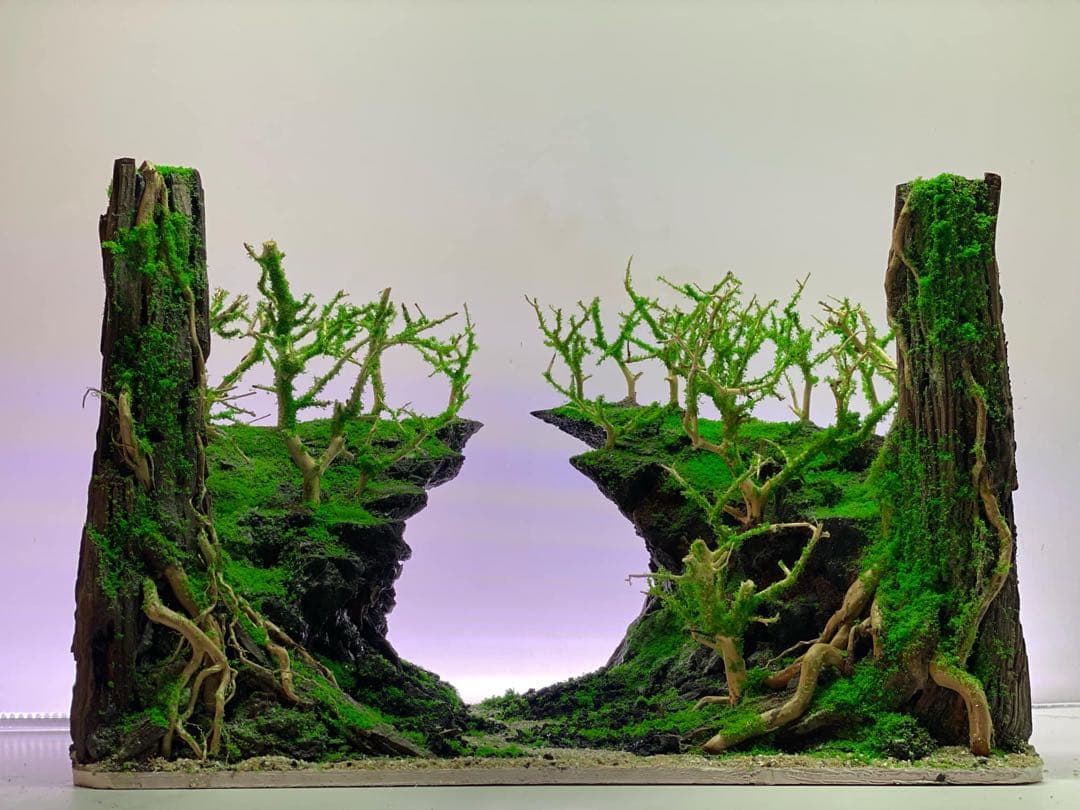 【在庫処分　半額OFF】自然美水景レイアウト – メンテナンス不要で常に緑豊か！ Driftwood Nature Aquarium Layout / Shade-Shaded Aquatic Plants