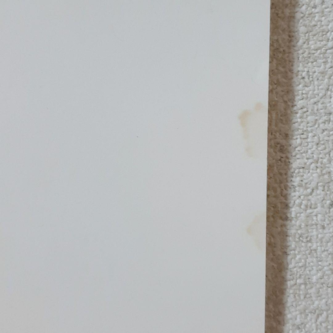 VOLCOM Todd Bratrud 非売品 100枚限定 サイン入りポスター