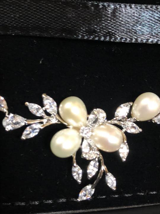 超貴重！イングランド クヌート1世 戴冠1000年記念銀貨 PCGS鑑定済み