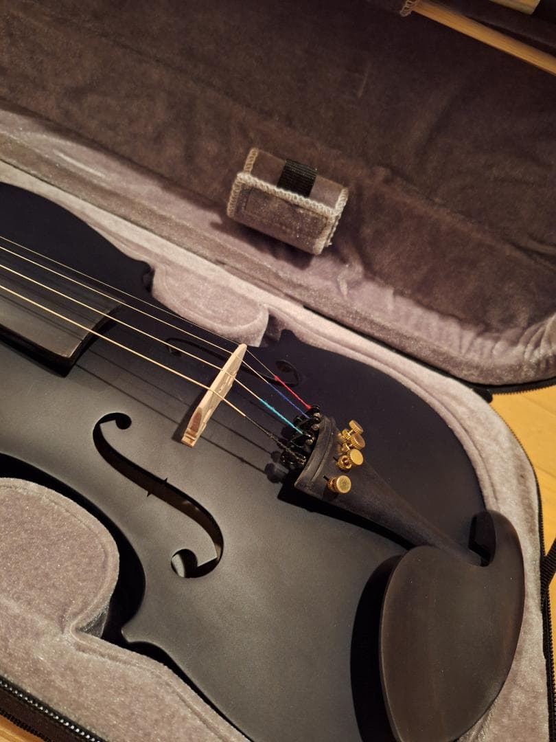 Hallstatt ヴァイオリン サテンブラック V-12/BK 4/4サイズ