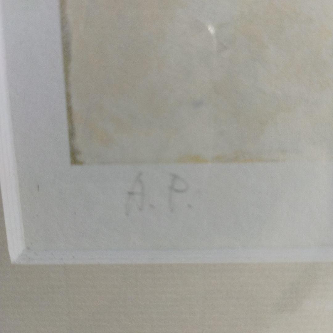 柳井貴光 風景画 初夏 軽井沢 千ケ滝 フレーム付き 柳井貴光 風景画 初夏