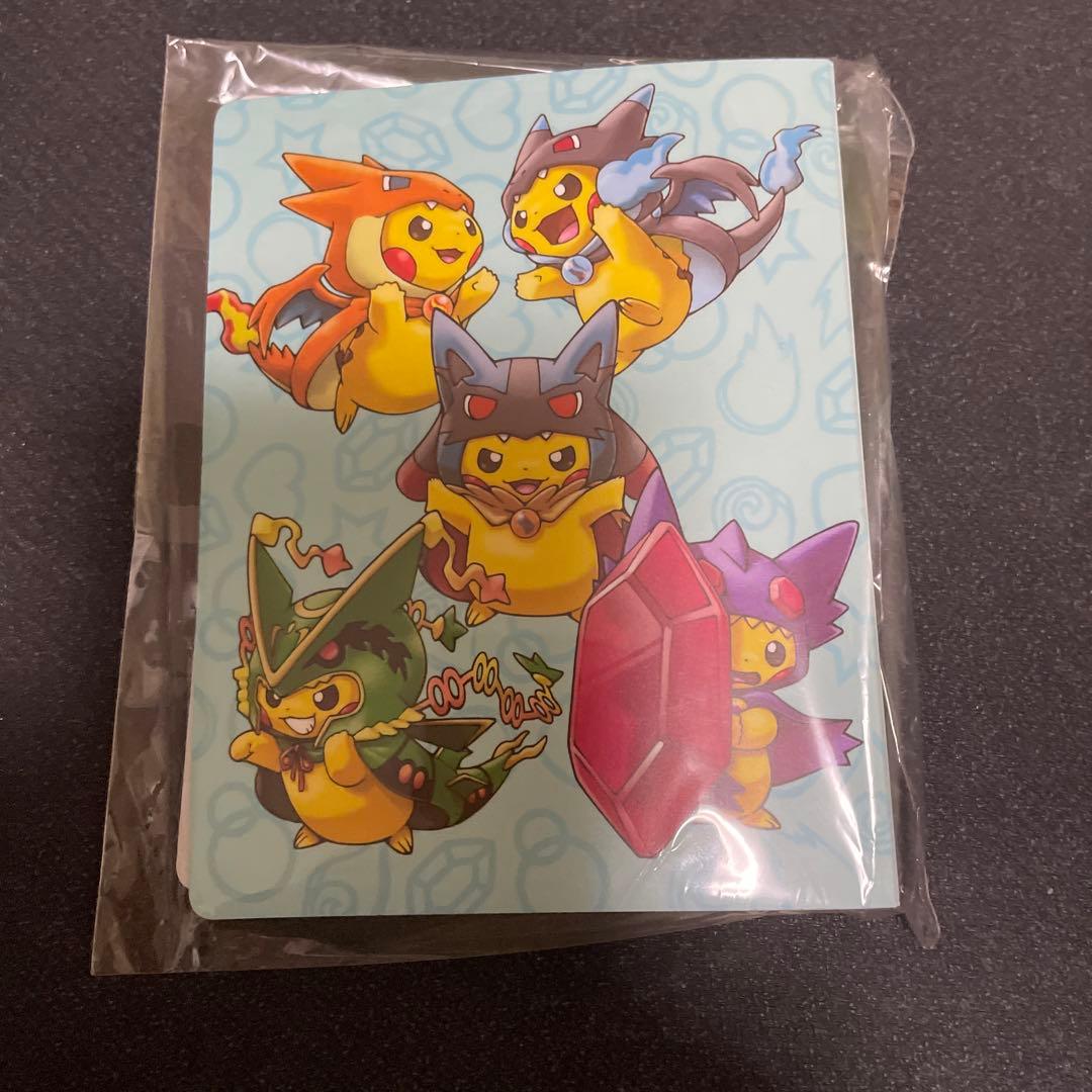 ポンチョを着たピカチュウ 名刺カード ファイル セット