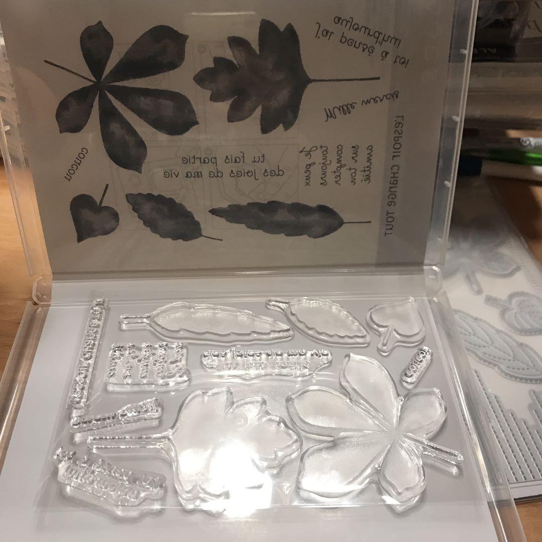 1点のみ 未使用 スタンピンアップ フランス語 大きな葉が可愛い