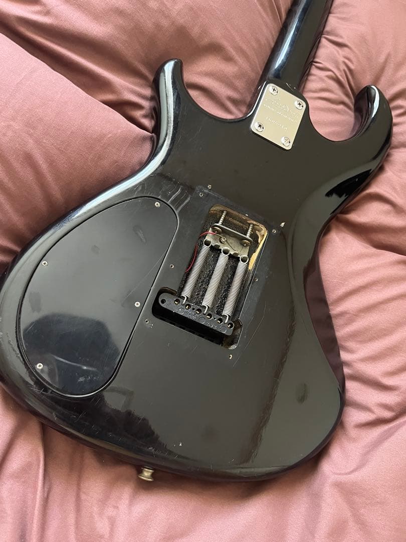 調整済】Ariaproii アリアプロ WILDCAT DX ギター 訳有 調整済