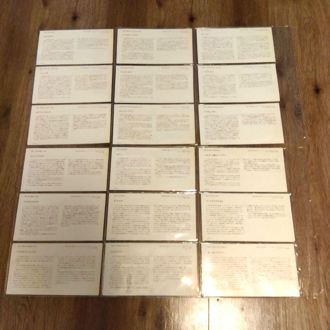 国連初日カバーファイル⚪No1〜No108【激レア】 - メルカリ