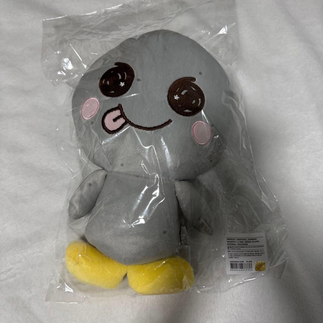 riize ライズ ウンソク ソンヨンドリ ぬいぐるみ 40cm タレントグッズ