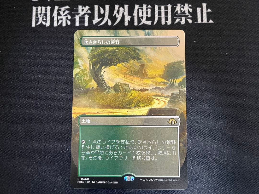 MTG 吹きさらしの荒野 日本語 ボーダーレス - メルカリ