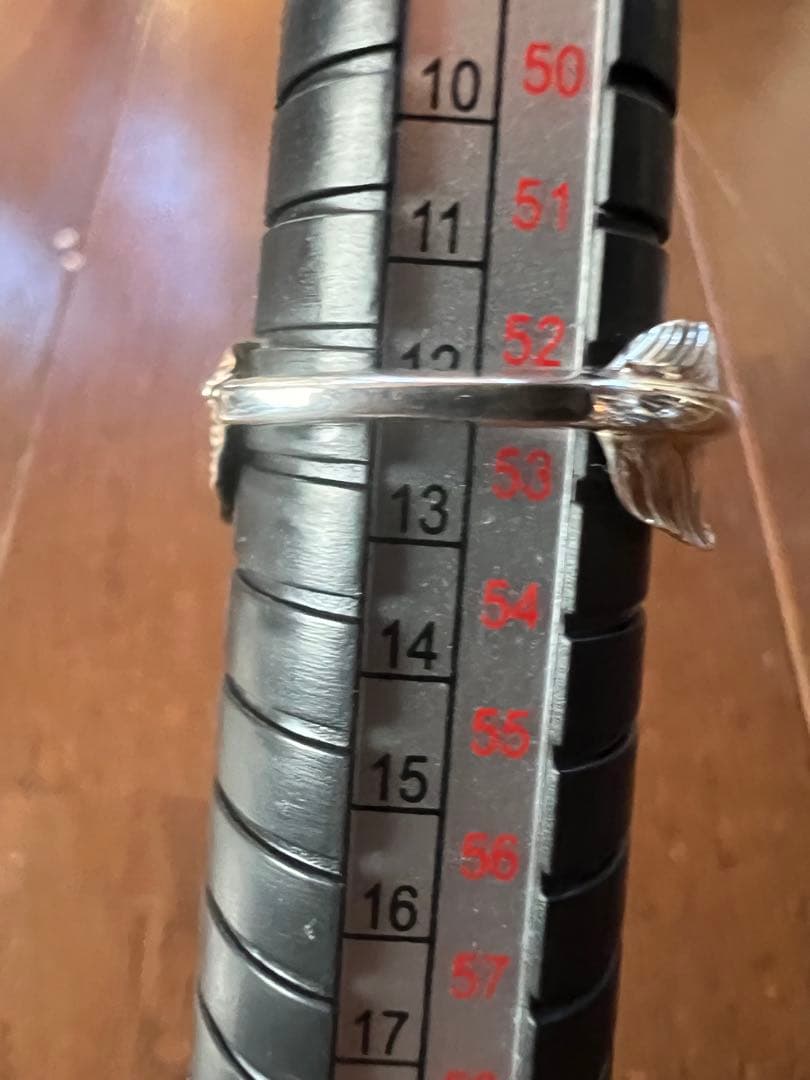 T*o様 アリゾナフリーダム　フェザーリング　ピンキー　12号