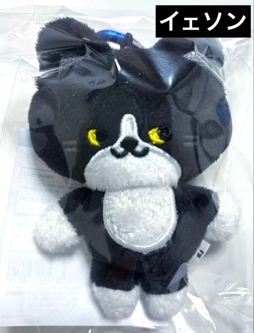 SUPER JUNIOR SS10 イェソン ぬいぐるみキーホルダー - メルカリ