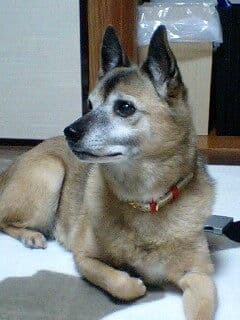 ＡＫＡＲＩさまへ