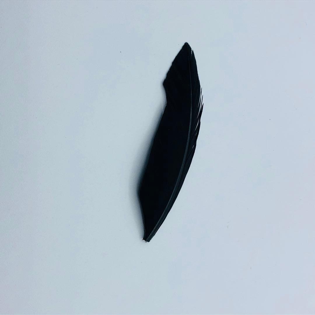 Wings of fallen 堕落之翼 ヘッド 衣装セット ルシファー