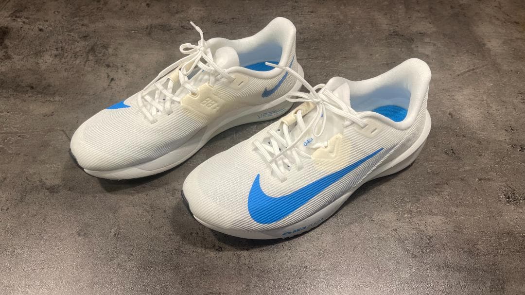 柳原良平先生 戌年「犬張子」のカラー水彩画サイン色紙（1994年1月