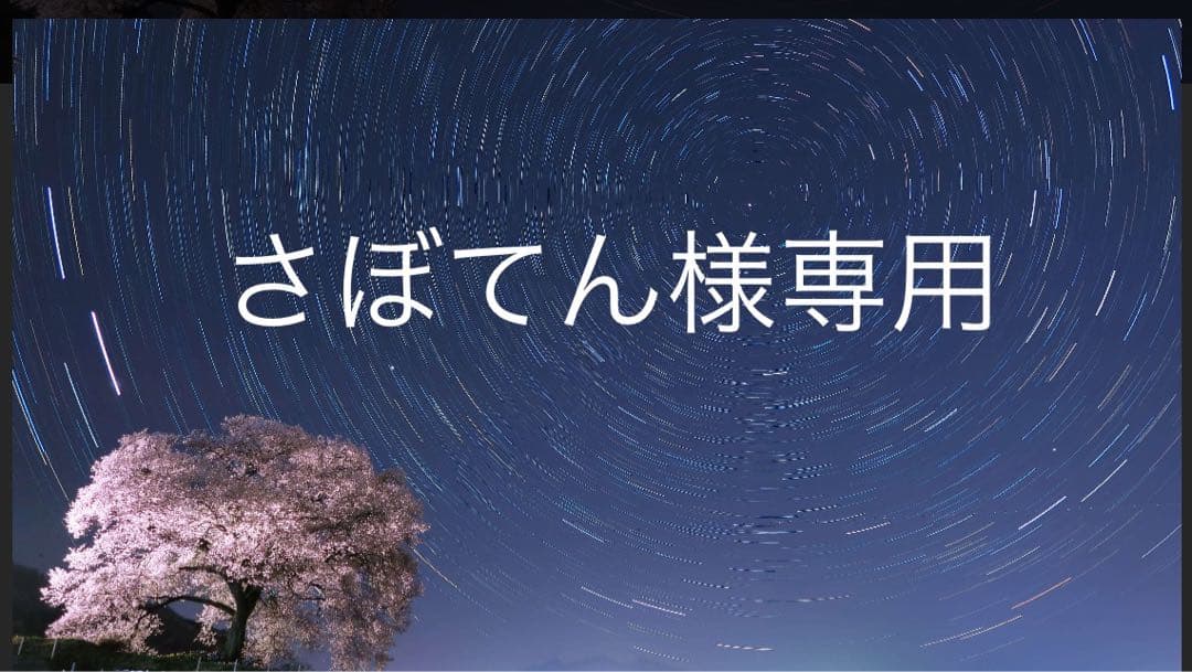 さぼてん サボテンダー ぽん太 23~Ninja ZX-4R SE/RR (8BL-ZX400P) POWERBOX