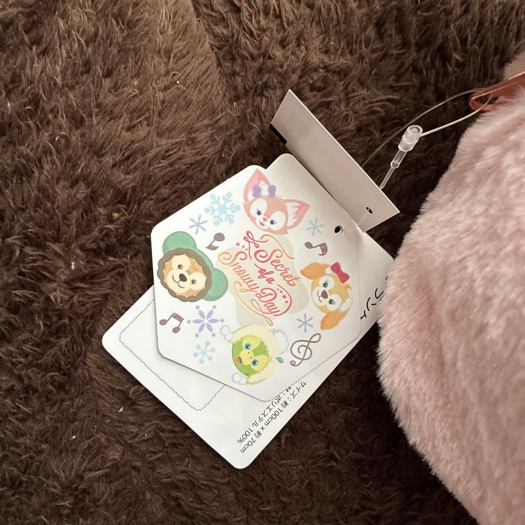 TDS シークレットオブスノーウィーデイ　リーナベル　ブランケット　ダッフィー