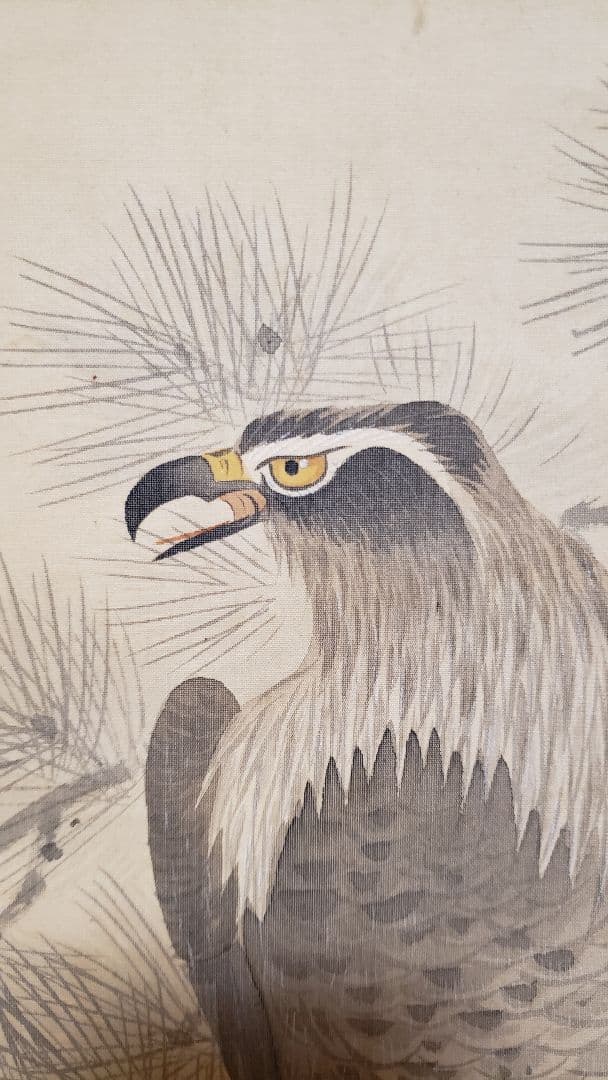 雅堂 「海の荒鷲」 肉筆　共箱　日本画　細密　動物画　アンティーク