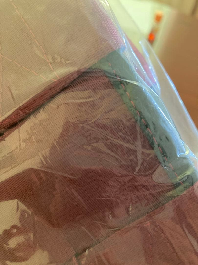 JAL ボーイング777  シートベルト