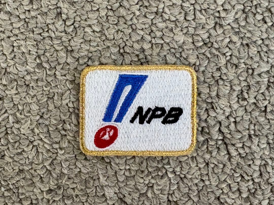 PILOT (パイロット) 万年筆 ペン先 18K-750 @ 100Th Anniversary