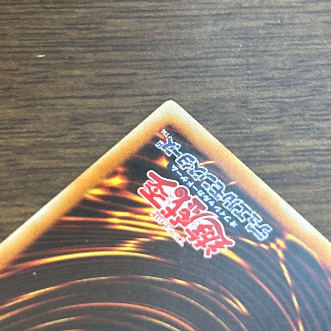 ブラック・ローズ・ドラゴン ホロ