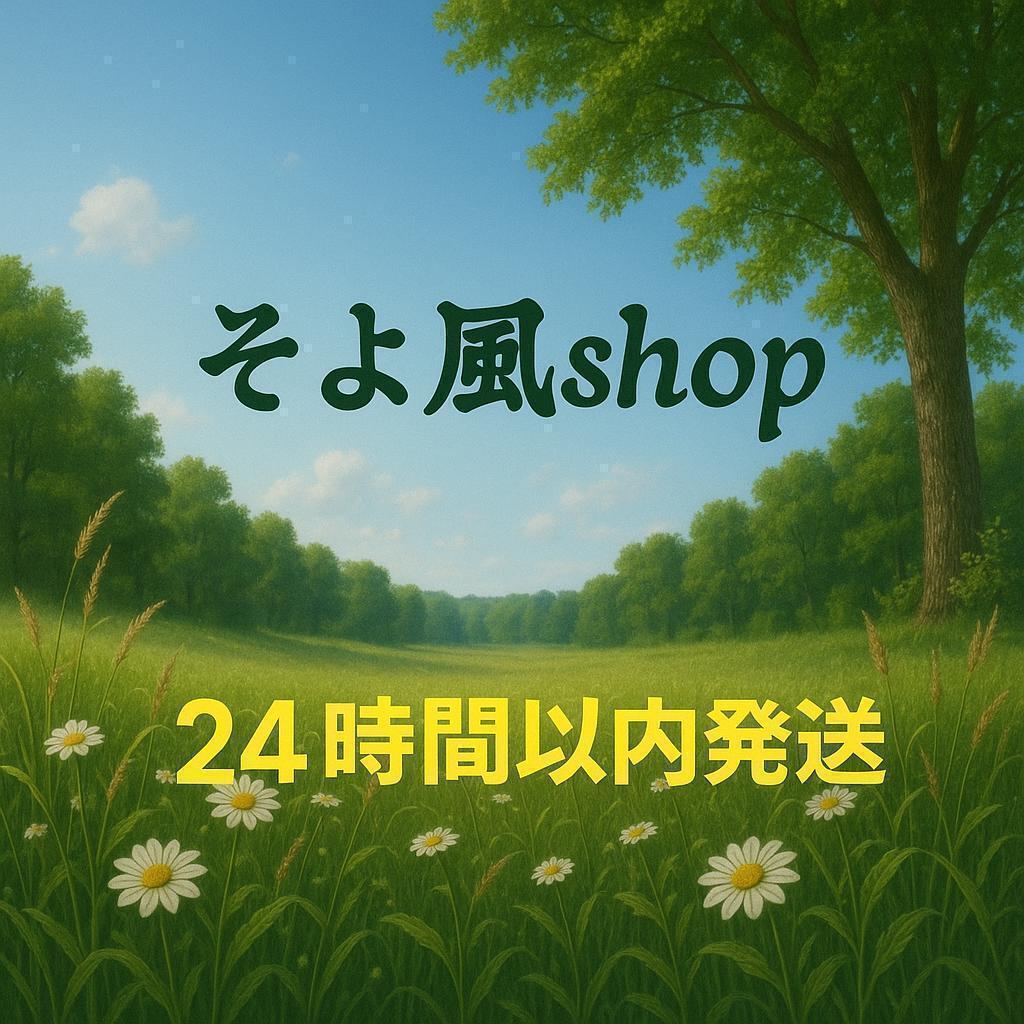 【日本未発売】 ディズニー ロルカナ スカー プレイマット チャンピオンモデル