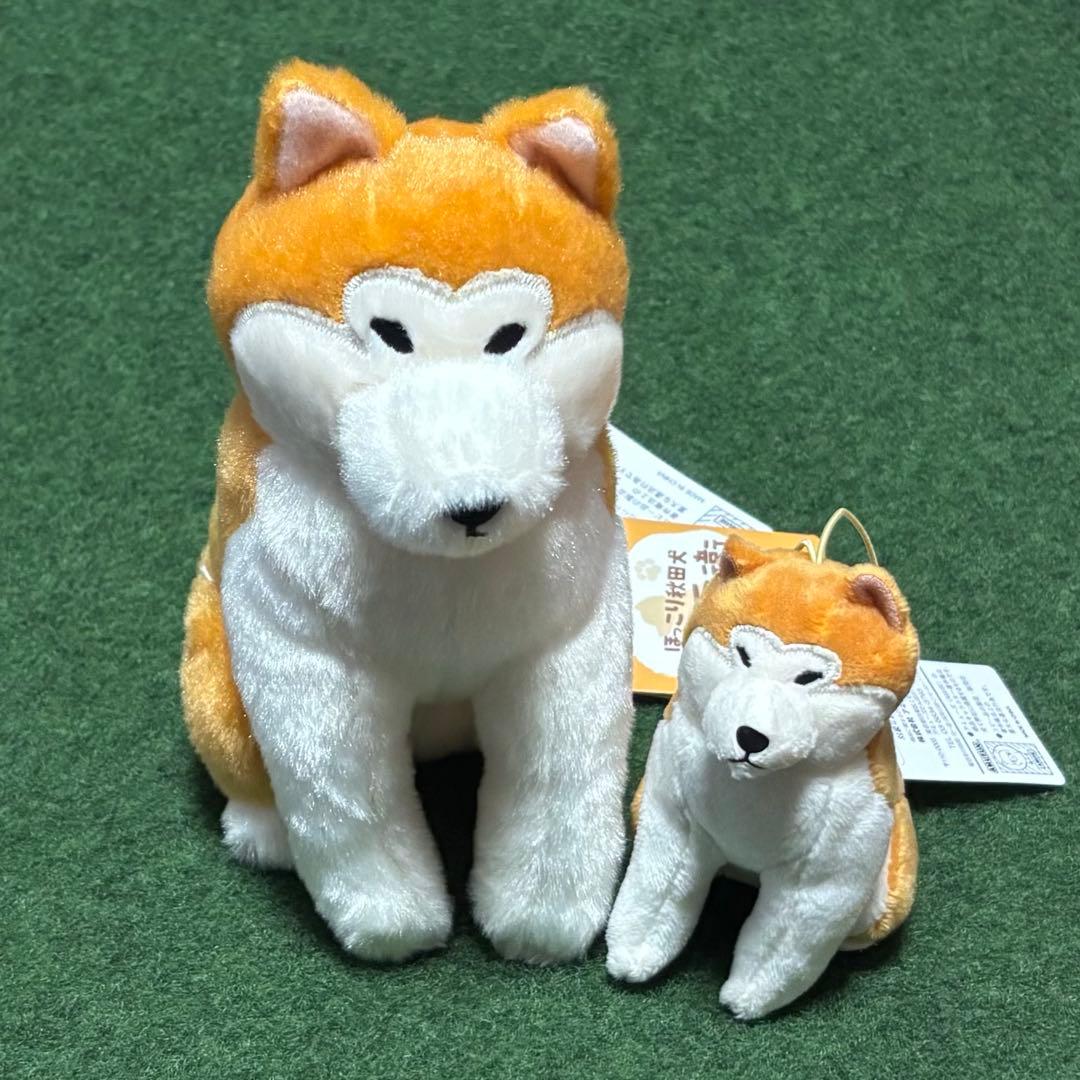 ほっこり秋田犬はち兵衛 - メルカリ