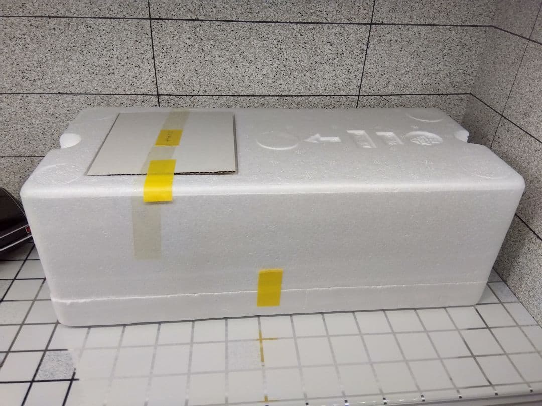 1/18 Hot Weels (エリート)1970 Dodge Charger