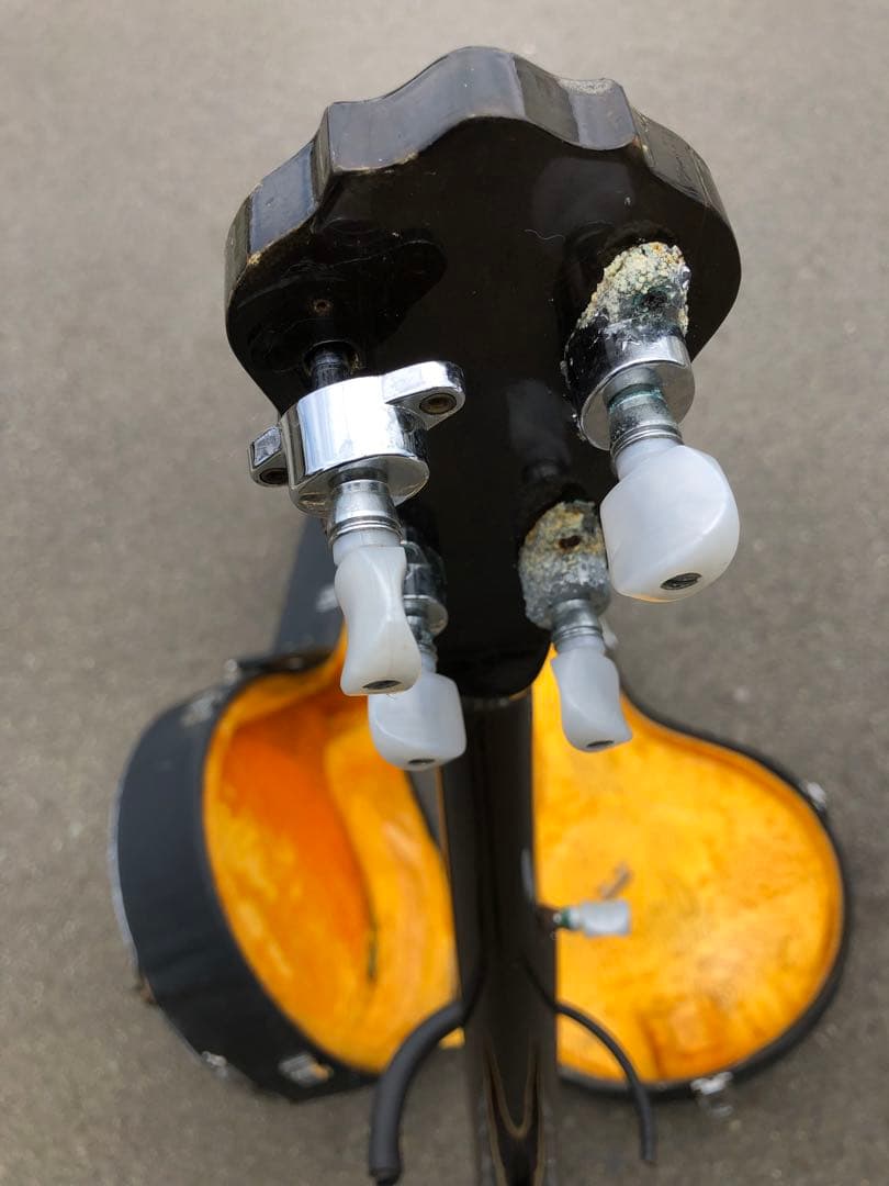 tenesy 5弦バンジョー　ハードケース付き