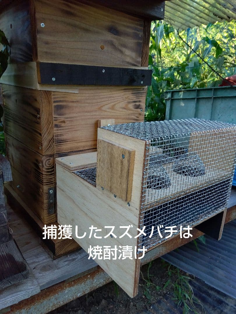 金網式スズメバチ生捕りトラップ - メルカリ