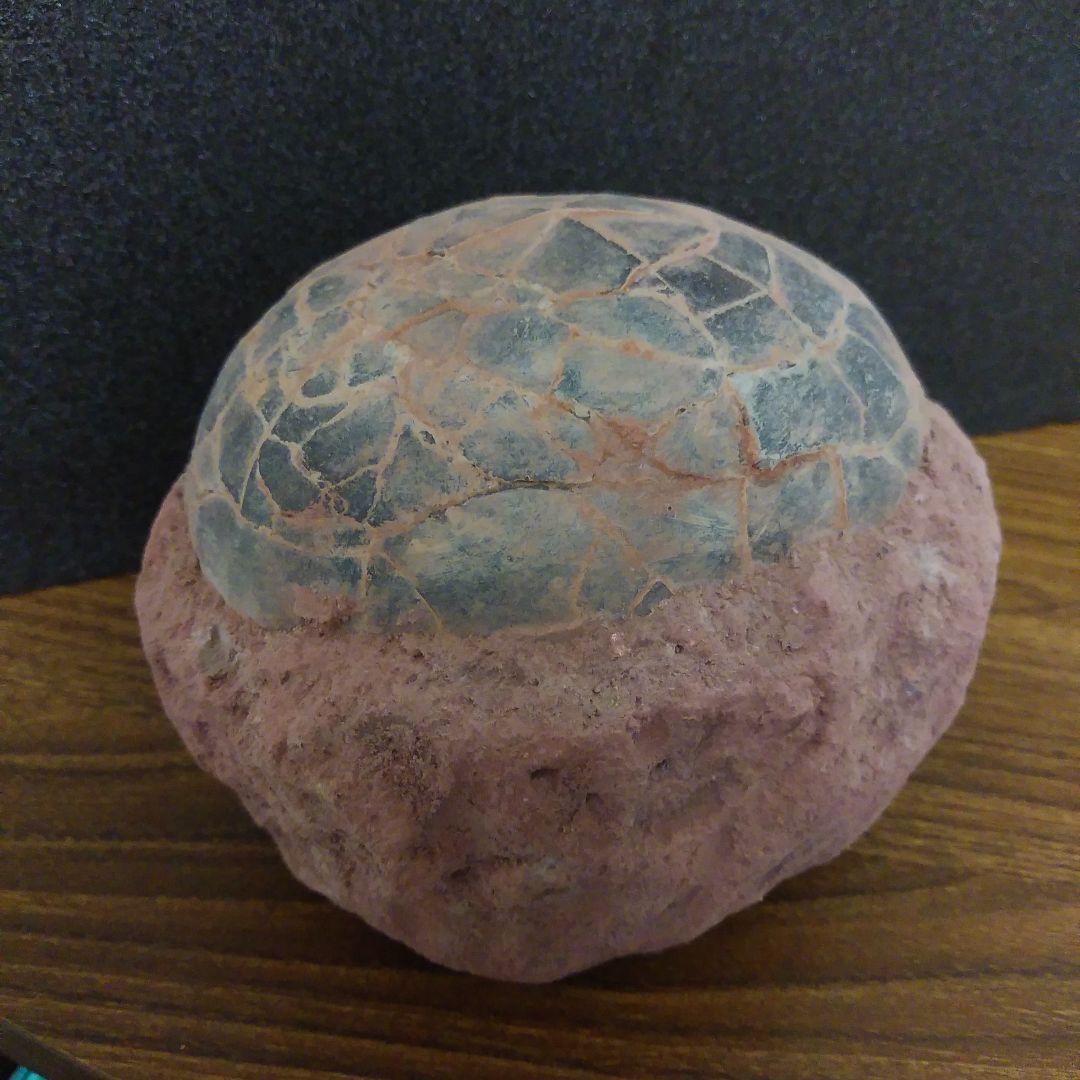 貴重)恐竜ハドロサウルスの卵化石（3個）中国補修あり