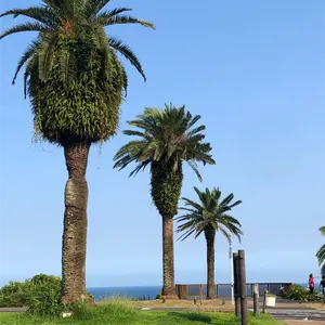 貴重品】メガハウス GARDENING MATE-ガーデニングメイト-全10種 - メルカリ