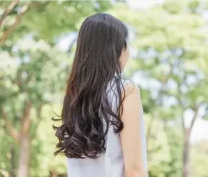 ビートルズ Heirloom Ornament 2008 THE BE I0E9 - メルカリ