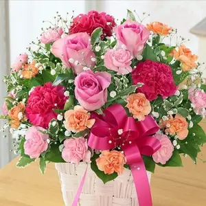 オ*レ様 stargazer 観賞用 - メルカリ