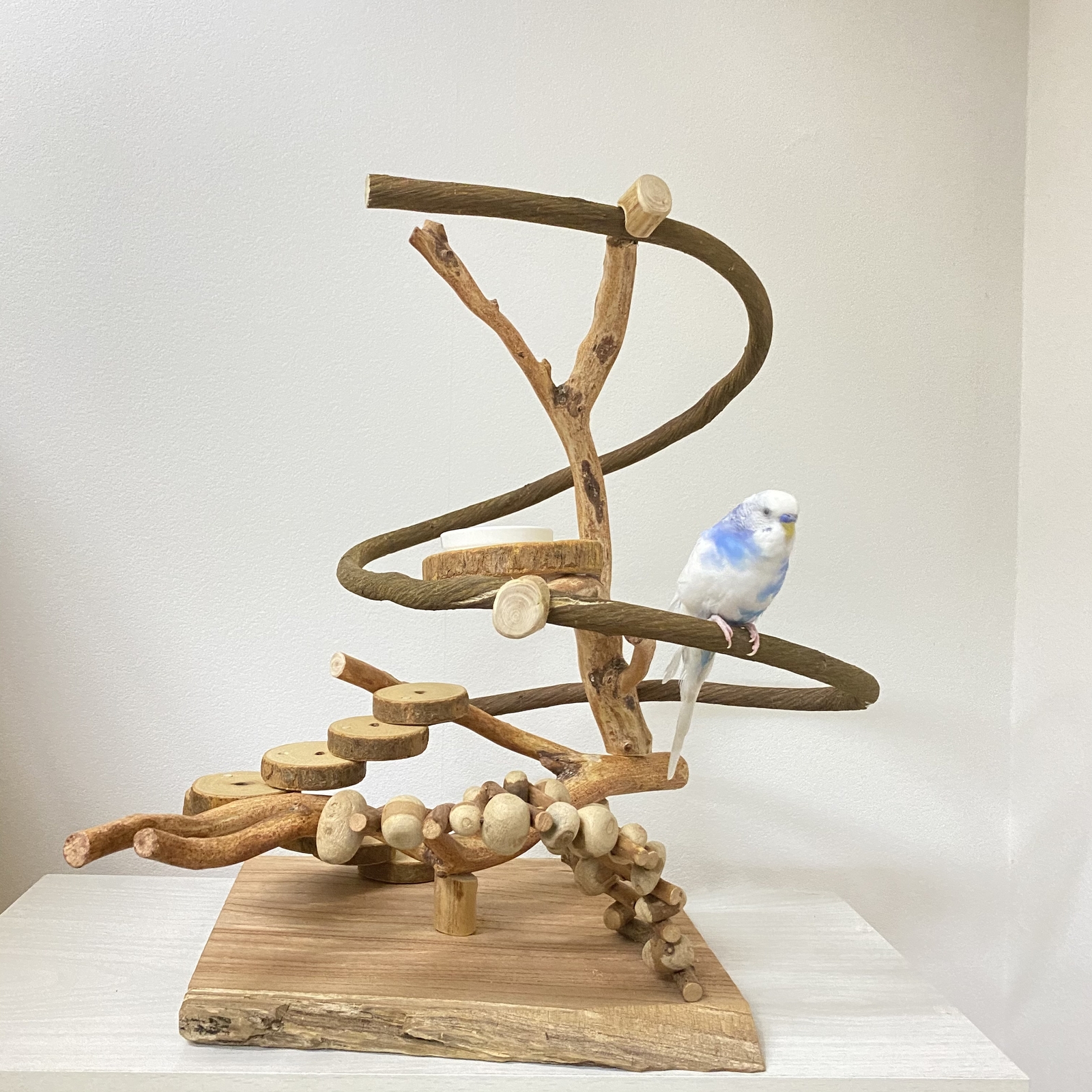 流木バードアスレチック M おもちゃ・ペット小物 Driftwood and birds